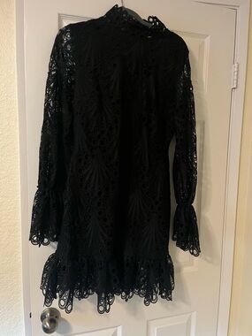 Black Lace Long-Sleeve Mini Dress with Scalloped Hem